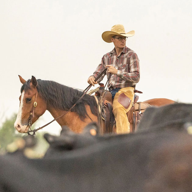 Cowboy on a horse.